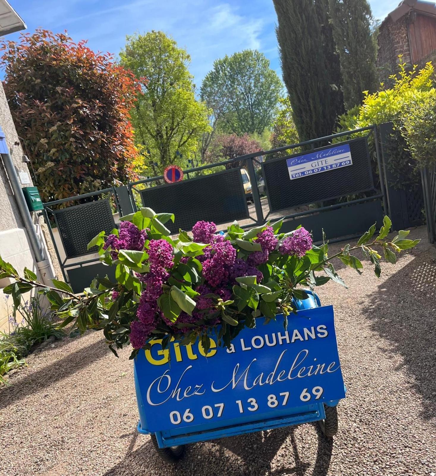 Gite Chez Madeleine Apartment Louhans Luaran gambar